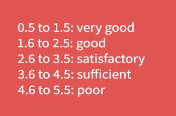 Rating scale for the BWG study